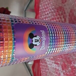 Disneyland and Starbucks Rainbow Tumbler